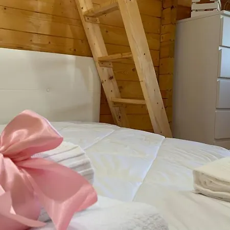 Quinta Pedro E Ines * Bragança