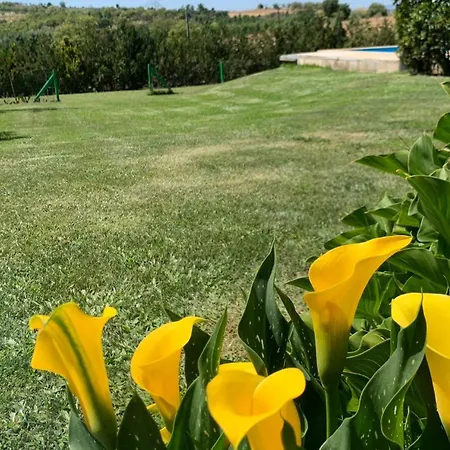 Quinta Pedro E Ines 샬레 바라간카