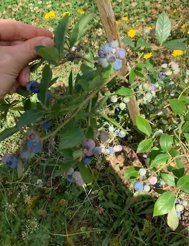 Horská chata Quinta Pedro E Ines