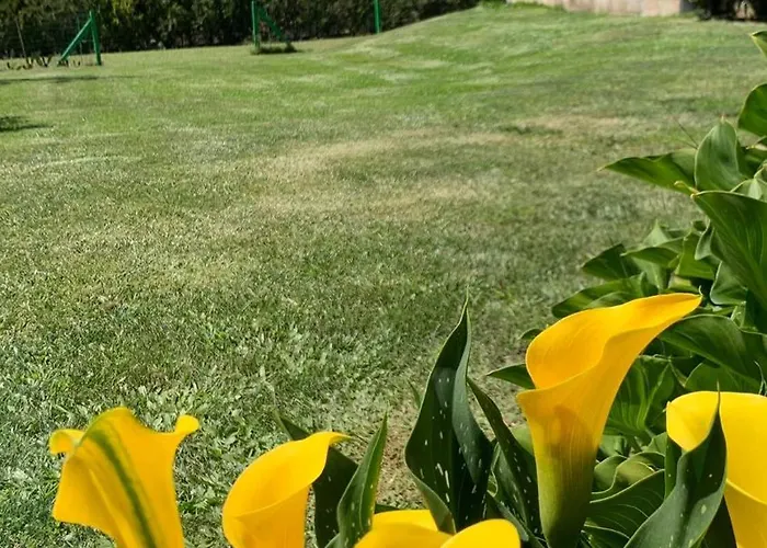 Quinta Pedro E Ines Horská chata Bragança