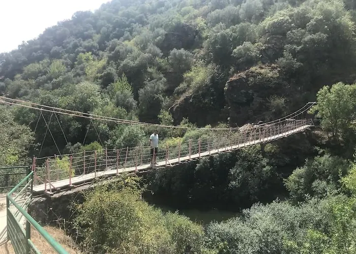 Quinta Pedro E Ines * Bragança